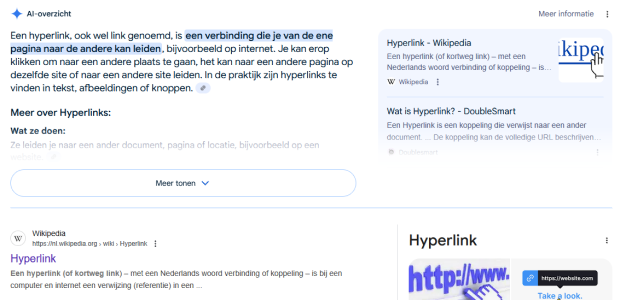 Voorbeeld AI-overzicht